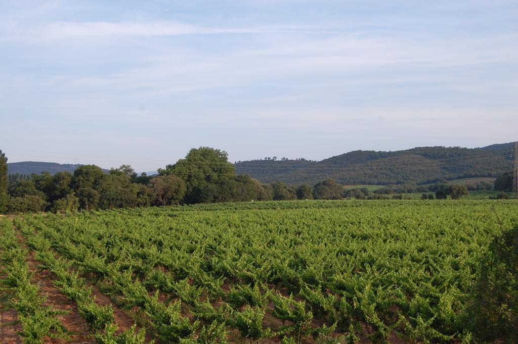 Chateau De La Clapiere Hyeres Exterior photo