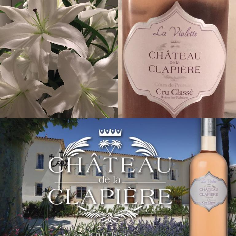 Chateau De La Clapiere Hyeres Exterior photo